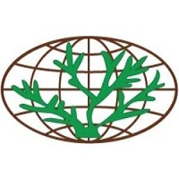indo seaweed