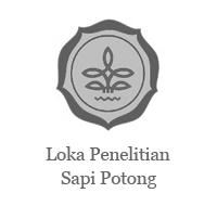 loka sapi potong